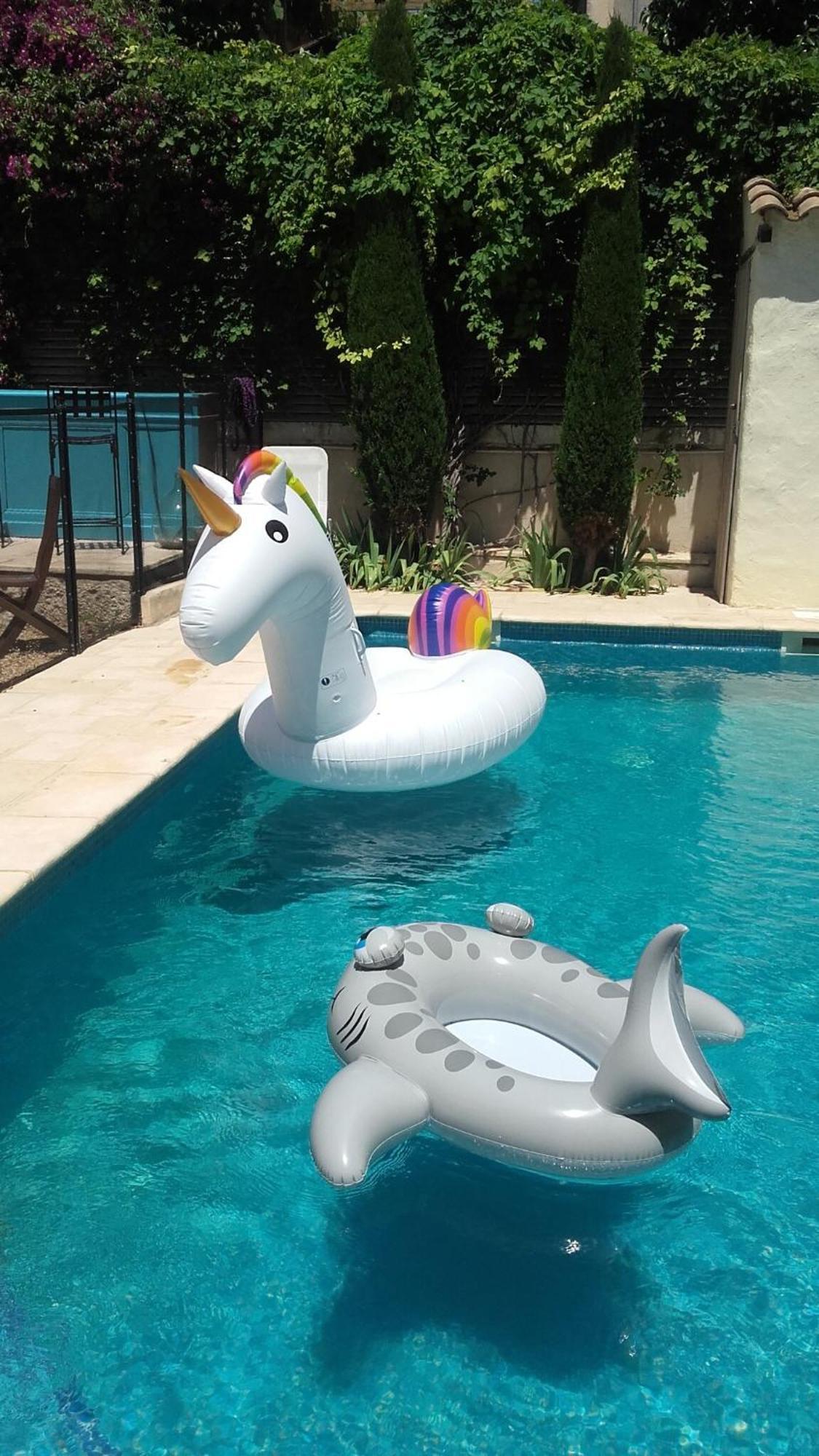Cuxac-dʼAude Maison Pelissier Bed And Breakfast With Sweeming Pool المظهر الخارجي الصورة
